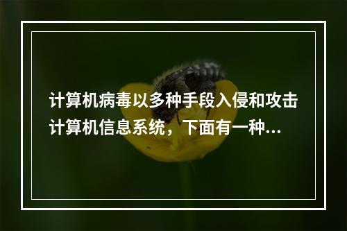 计算机病毒以多种手段入侵和攻击计算机信息系统，下面有一种不