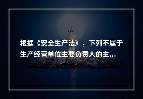 根据《安全生产法》，下列不属于生产经营单位主要负责人的主要安