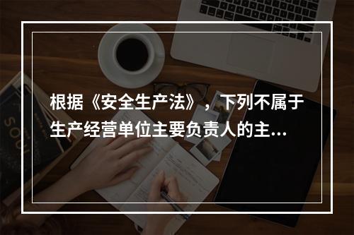 根据《安全生产法》，下列不属于生产经营单位主要负责人的主要安