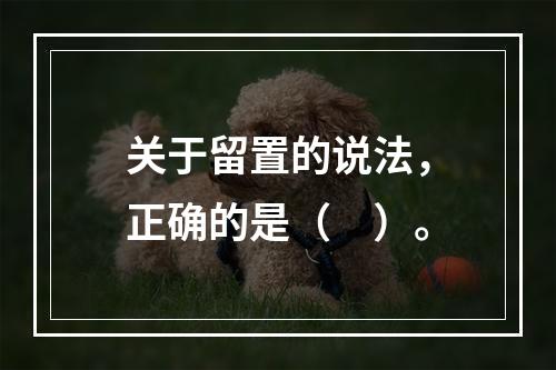 关于留置的说法，正确的是（　）。