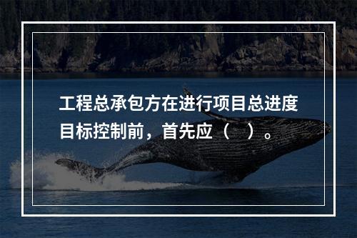 工程总承包方在进行项目总进度目标控制前，首先应（　）。