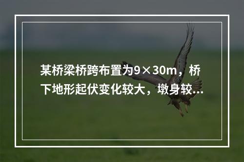 某桥梁桥跨布置为9×30m，桥下地形起伏变化较大，墩身较高，