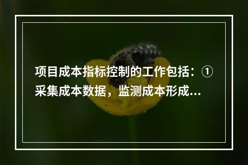 项目成本指标控制的工作包括：①采集成本数据，监测成本形成过程