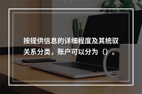 按提供信息的详细程度及其统驭关系分类，账户可以分为（）。