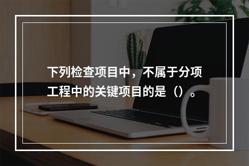 下列检查项目中，不属于分项工程中的关键项目的是（）。