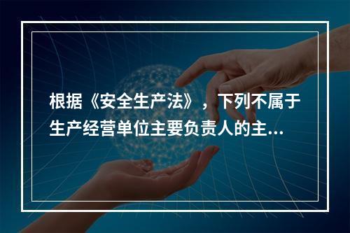 根据《安全生产法》，下列不属于生产经营单位主要负责人的主要安