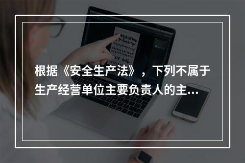 根据《安全生产法》，下列不属于生产经营单位主要负责人的主要安