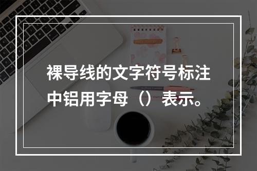 裸导线的文字符号标注中铝用字母（）表示。