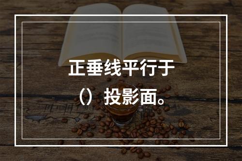 正垂线平行于（）投影面。