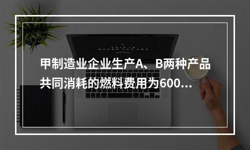 甲制造业企业生产A、B两种产品共同消耗的燃料费用为6000元