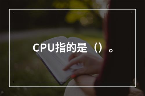 CPU指的是（）。