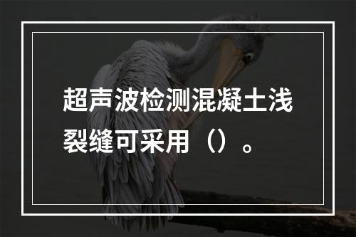 超声波检测混凝土浅裂缝可采用（）。