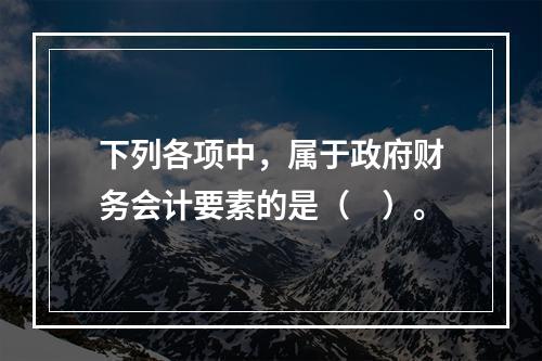 下列各项中，属于政府财务会计要素的是（　）。