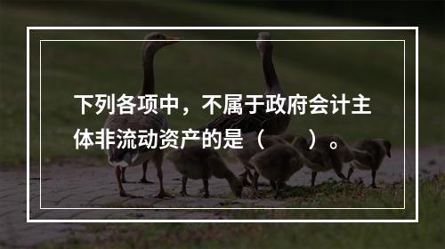 下列各项中，不属于政府会计主体非流动资产的是（　　）。