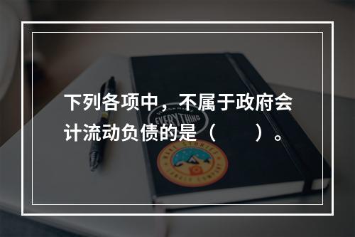 下列各项中，不属于政府会计流动负债的是（　　）。