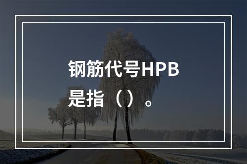 钢筋代号HPB是指（ ）。