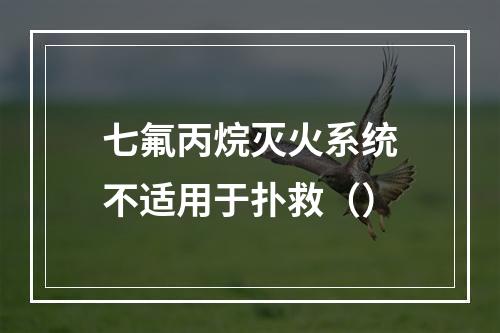 七氟丙烷灭火系统不适用于扑救（）