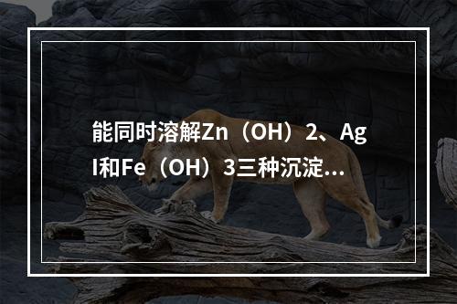 能同时溶解Zn（OH）2、AgI和Fe（OH）3三种沉淀的