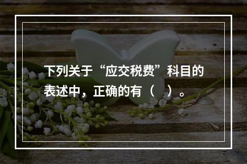 下列关于“应交税费”科目的表述中，正确的有（　）。