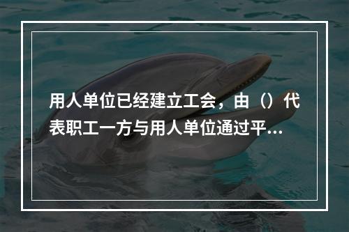 用人单位已经建立工会，由（）代表职工一方与用人单位通过平等协