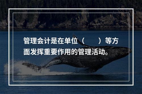 管理会计是在单位（　　）等方面发挥重要作用的管理活动。