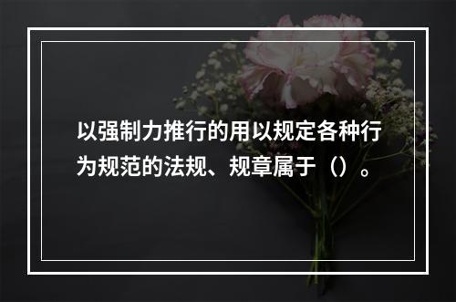 以强制力推行的用以规定各种行为规范的法规、规章属于（）。