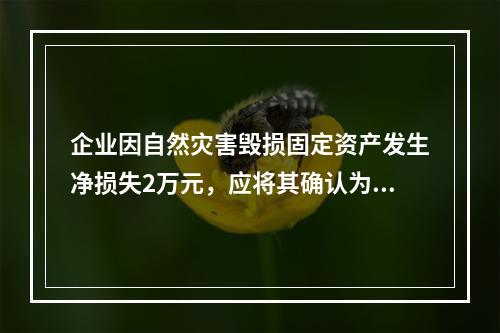 企业因自然灾害毁损固定资产发生净损失2万元，应将其确认为费用