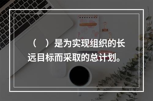 （　）是为实现组织的长远目标而采取的总计划。