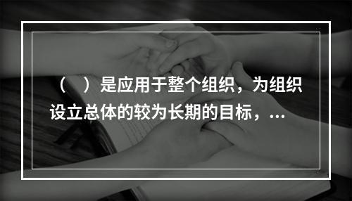 （　）是应用于整个组织，为组织设立总体的较为长期的目标，寻求