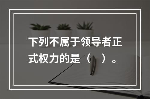 下列不属于领导者正式权力的是（　）。