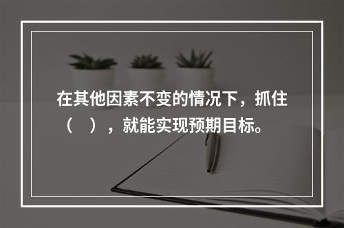 在其他因素不变的情况下，抓住（　），就能实现预期目标。