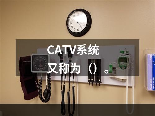 CATV系统又称为（）。