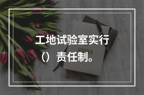 工地试验室实行（）责任制。