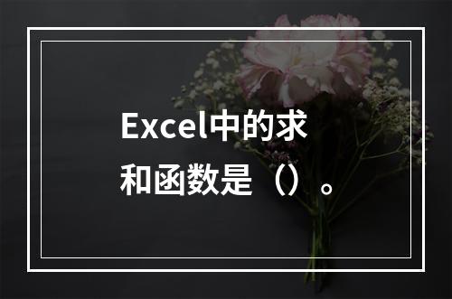 Excel中的求和函数是（）。