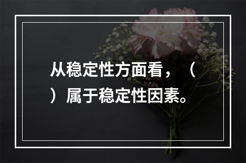 从稳定性方面看，（　）属于稳定性因素。