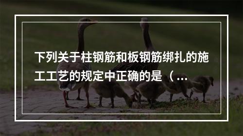 下列关于柱钢筋和板钢筋绑扎的施工工艺的规定中正确的是（ ）。