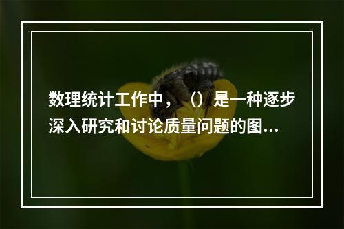 数理统计工作中，（）是一种逐步深入研究和讨论质量问题的图示方