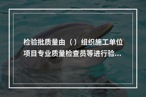 检验批质量由（ ）组织施工单位项目专业质量检查员等进行验收。