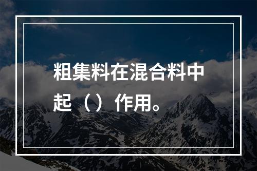 粗集料在混合料中起（ ）作用。