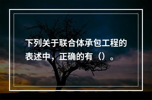 下列关于联合体承包工程的表述中，正确的有（）。