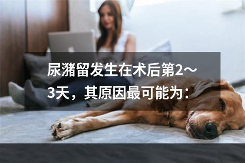 尿潴留发生在术后第2～3天，其原因最可能为：