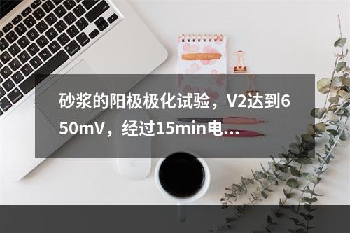 砂浆的阳极极化试验，V2达到650mV，经过15min电位跌