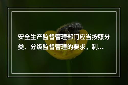 安全生产监督管理部门应当按照分类、分级监督管理的要求，制订（