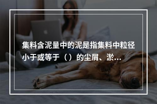 集料含泥量中的泥是指集料中粒径小于或等于（ ）的尘屑、淤泥、