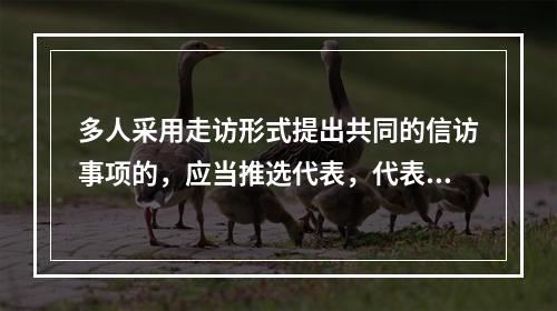 多人采用走访形式提出共同的信访事项的，应当推选代表，代表人数