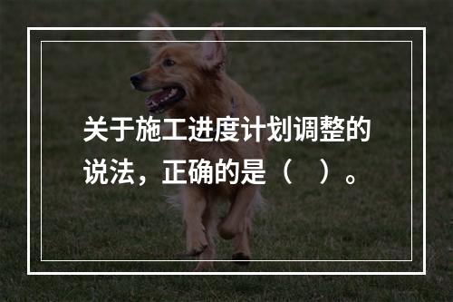 关于施工进度计划调整的说法，正确的是（　）。