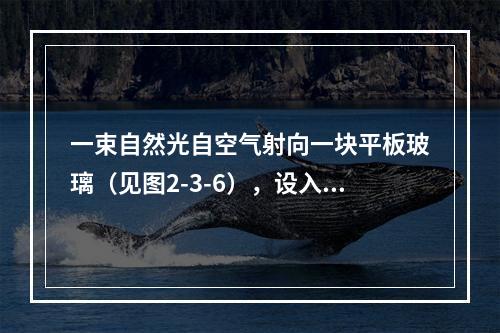 一束自然光自空气射向一块平板玻璃（见图2-3-6），设入射