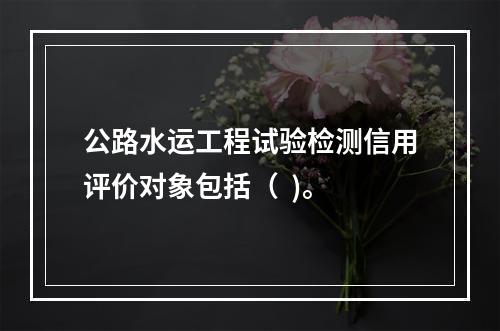 公路水运工程试验检测信用评价对象包括（  )。