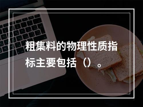 粗集料的物理性质指标主要包括（）。