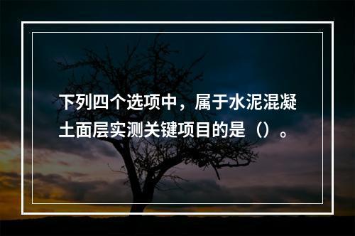 下列四个选项中，属于水泥混凝土面层实测关键项目的是（）。